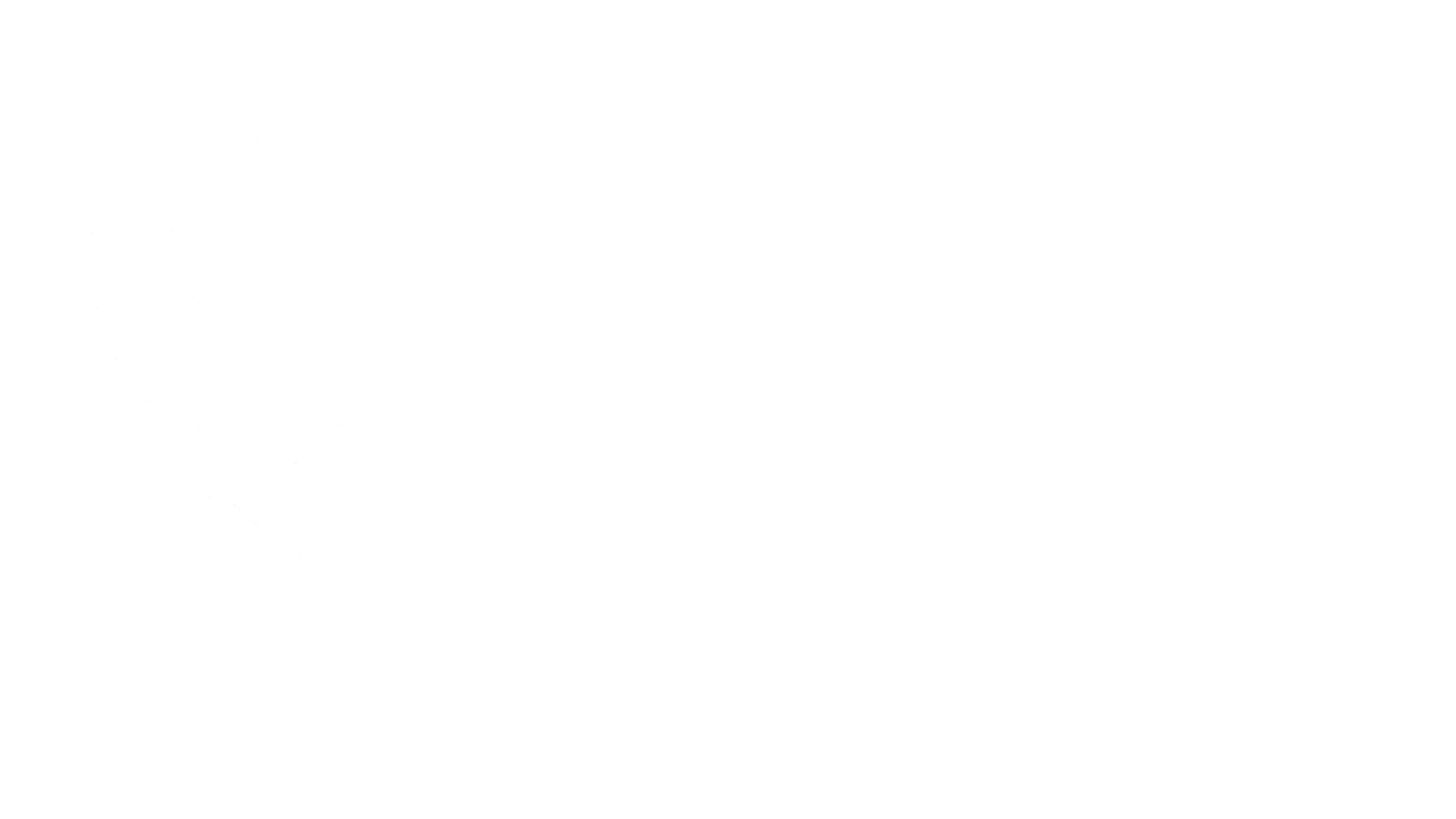 falcon_logo_transparent